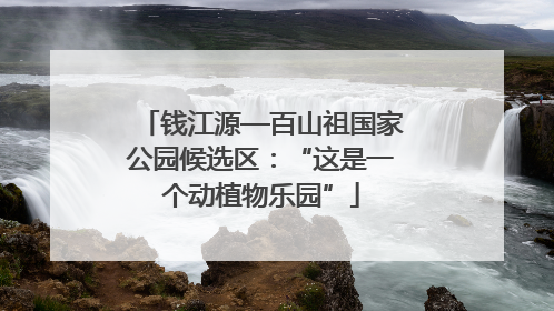 钱江源—百山祖国家公园候选区：“这是一个动植物乐园”