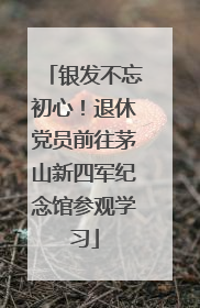 银发不忘初心！退休党员前往茅山新四军纪念馆参观学习