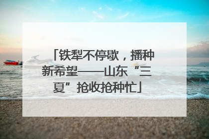 铁犁不停歇，播种新希望——山东“三夏”抢收抢种忙