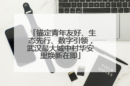 锚定青年友好、生态先行、数字引领，武汉最大城中村华安里焕新在即