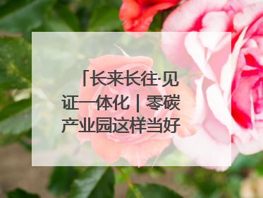 长来长往·见证一体化｜零碳产业园这样当好“碳”路先锋