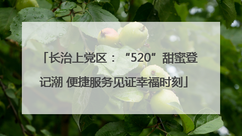 长治上党区：“520”甜蜜登记潮 便捷服务见证幸福时刻