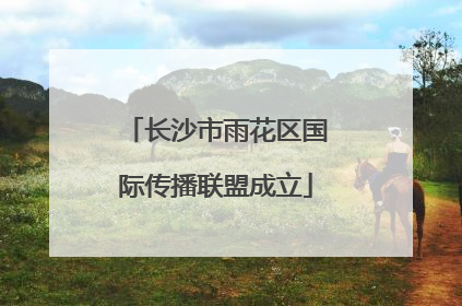 长沙市雨花区国际传播联盟成立
