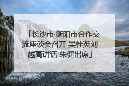 长沙市·衡阳市合作交流座谈会召开 吴桂英刘越高讲话 朱健出席
