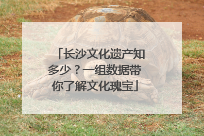 长沙文化遗产知多少？一组数据带你了解文化瑰宝