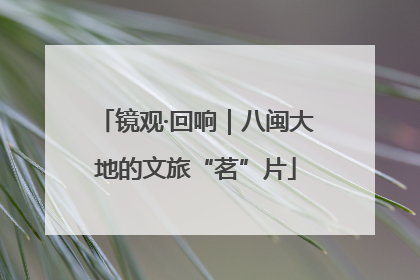 镜观·回响｜八闽大地的文旅“茗”片