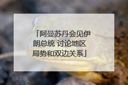 阿曼苏丹会见伊朗总统 讨论地区局势和双边关系