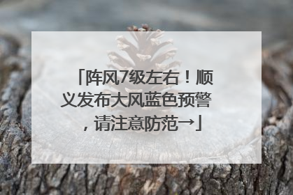阵风7级左右！顺义发布大风蓝色预警，请注意防范→