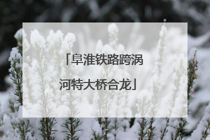 阜淮铁路跨涡河特大桥合龙