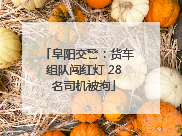 阜阳交警：货车组队闯红灯 28名司机被拘