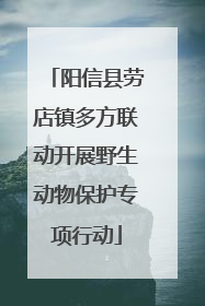 阳信县劳店镇多方联动开展野生动物保护专项行动
