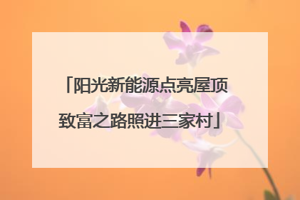 阳光新能源点亮屋顶 致富之路照进三家村
