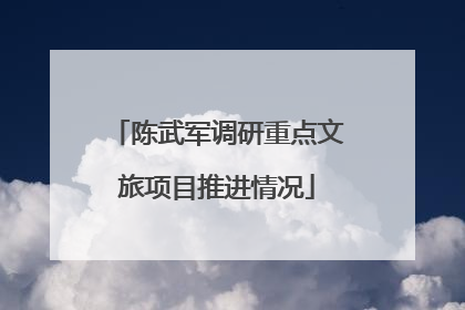 陈武军调研重点文旅项目推进情况