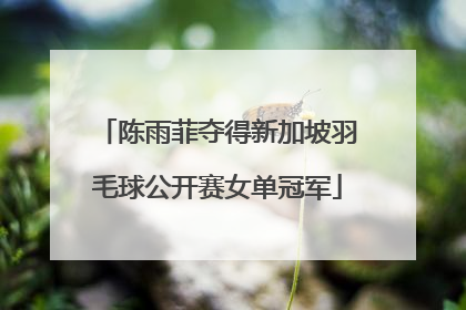陈雨菲夺得新加坡羽毛球公开赛女单冠军
