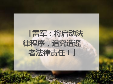 雷军：将启动法律程序，追究造谣者法律责任！