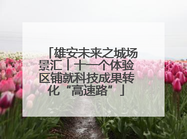 雄安未来之城场景汇丨十一个体验区铺就科技成果转化“高速路”