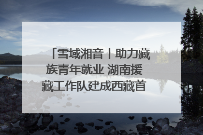 雪域湘音丨助力藏族青年就业 湖南援藏工作队建成西藏首个清洁能源装备园
