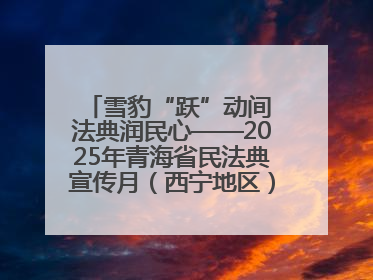雪豹“跃”动间 法典润民心——2025年青海省民法典宣传月（西宁地区）主场活动见闻