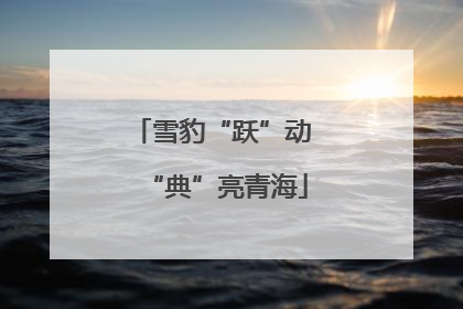 雪豹“跃”动 “典”亮青海
