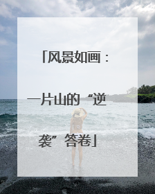 风景如画：一片山的“逆袭”答卷