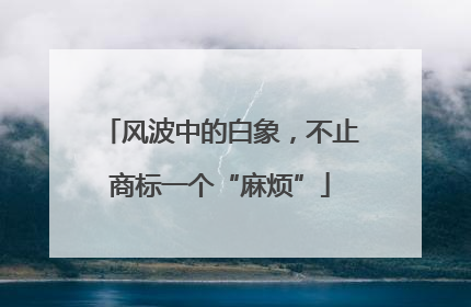 风波中的白象，不止商标一个“麻烦”