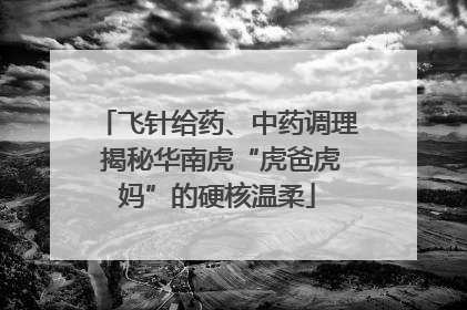 飞针给药、中药调理 揭秘华南虎“虎爸虎妈”的硬核温柔