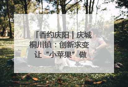 香约庆阳｜庆城桐川镇：创新求变 让“小苹果”做成“大产业”