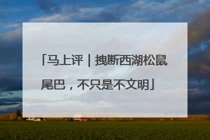 马上评｜拽断西湖松鼠尾巴，不只是不文明