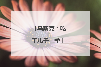 马斯克：吃了儿子一拳
