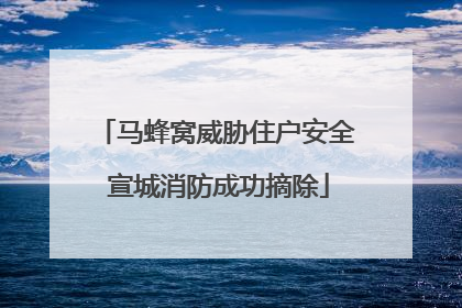 马蜂窝威胁住户安全 宣城消防成功摘除