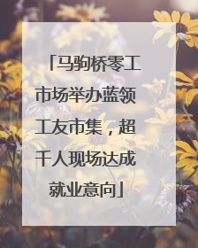 马驹桥零工市场举办蓝领工友市集，超千人现场达成就业意向