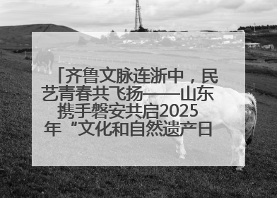 齐鲁文脉连浙中，民艺青春共飞扬——山东携手磐安共启2025年“文化和自然遗产日”系列活动