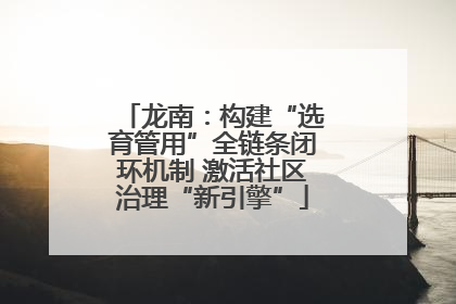 龙南：构建“选育管用”全链条闭环机制 激活社区治理“新引擎”