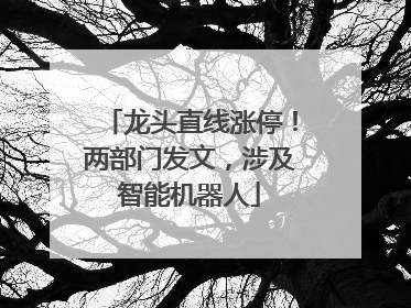 龙头直线涨停！两部门发文，涉及智能机器人