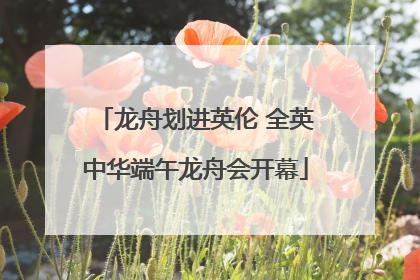 龙舟划进英伦 全英中华端午龙舟会开幕