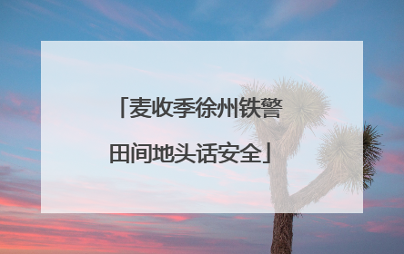 麦收季徐州铁警田间地头话安全