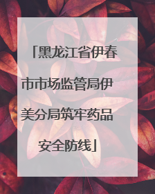 黑龙江省伊春市市场监管局伊美分局筑牢药品安全防线