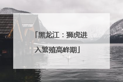黑龙江：狮虎进入繁殖高峰期