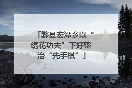黟县宏潭乡以“绣花功夫”下好整治“先手棋”