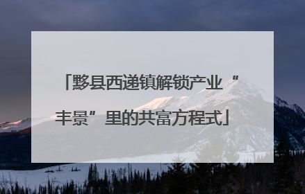 黟县西递镇解锁产业“丰景”里的共富方程式