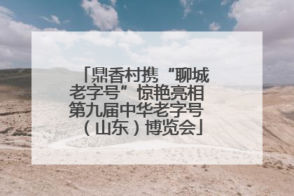 鼎香村携“聊城老字号”惊艳亮相第九届中华老字号（山东）博览会