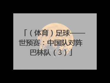 （体育）足球——世预赛：中国队对阵巴林队（3）