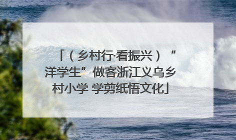 （乡村行·看振兴）“洋学生”做客浙江义乌乡村小学 学剪纸悟文化