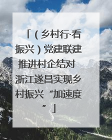 （乡村行·看振兴）党建联建推进村企结对 浙江遂昌实现乡村振兴“加速度”