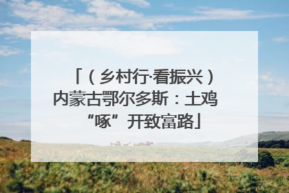 （乡村行·看振兴）内蒙古鄂尔多斯：土鸡“啄”开致富路