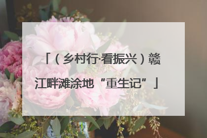 （乡村行·看振兴）赣江畔滩涂地“重生记”