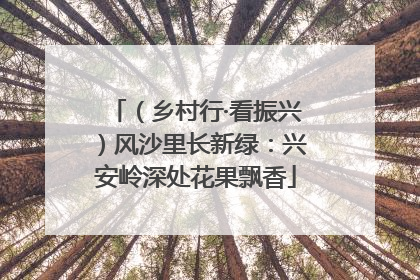 （乡村行·看振兴）风沙里长新绿：兴安岭深处花果飘香
