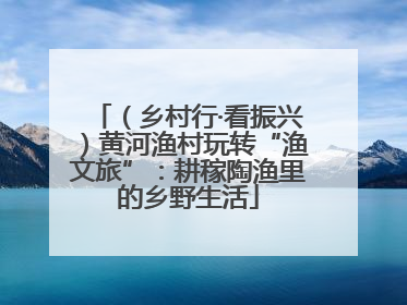 （乡村行·看振兴）黄河渔村玩转“渔文旅”：耕稼陶渔里的乡野生活