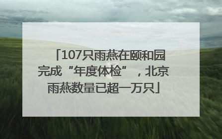 107只雨燕在颐和园完成“年度体检”，北京雨燕数量已超一万只