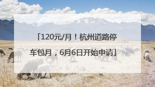 120元/月！杭州道路停车包月，6月6日开始申请